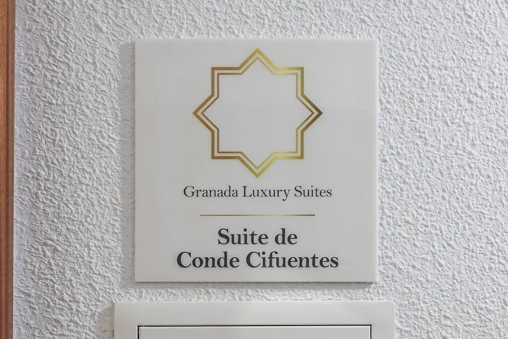 Luxury Suite De Conde Cifuentes 格拉纳达 公寓